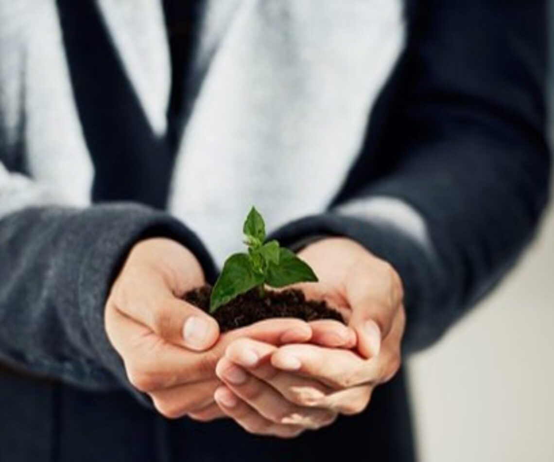 nurturing your business